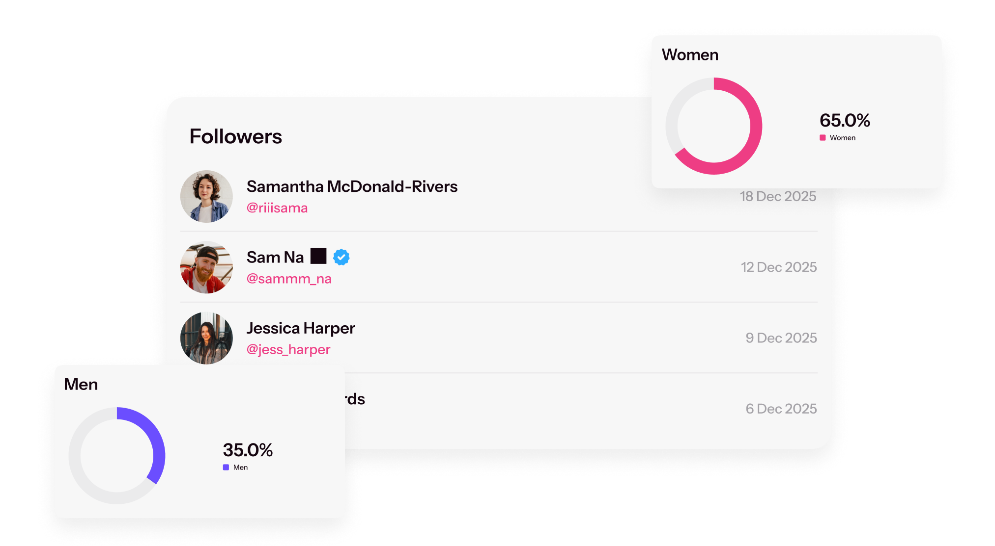2. Audience Insights